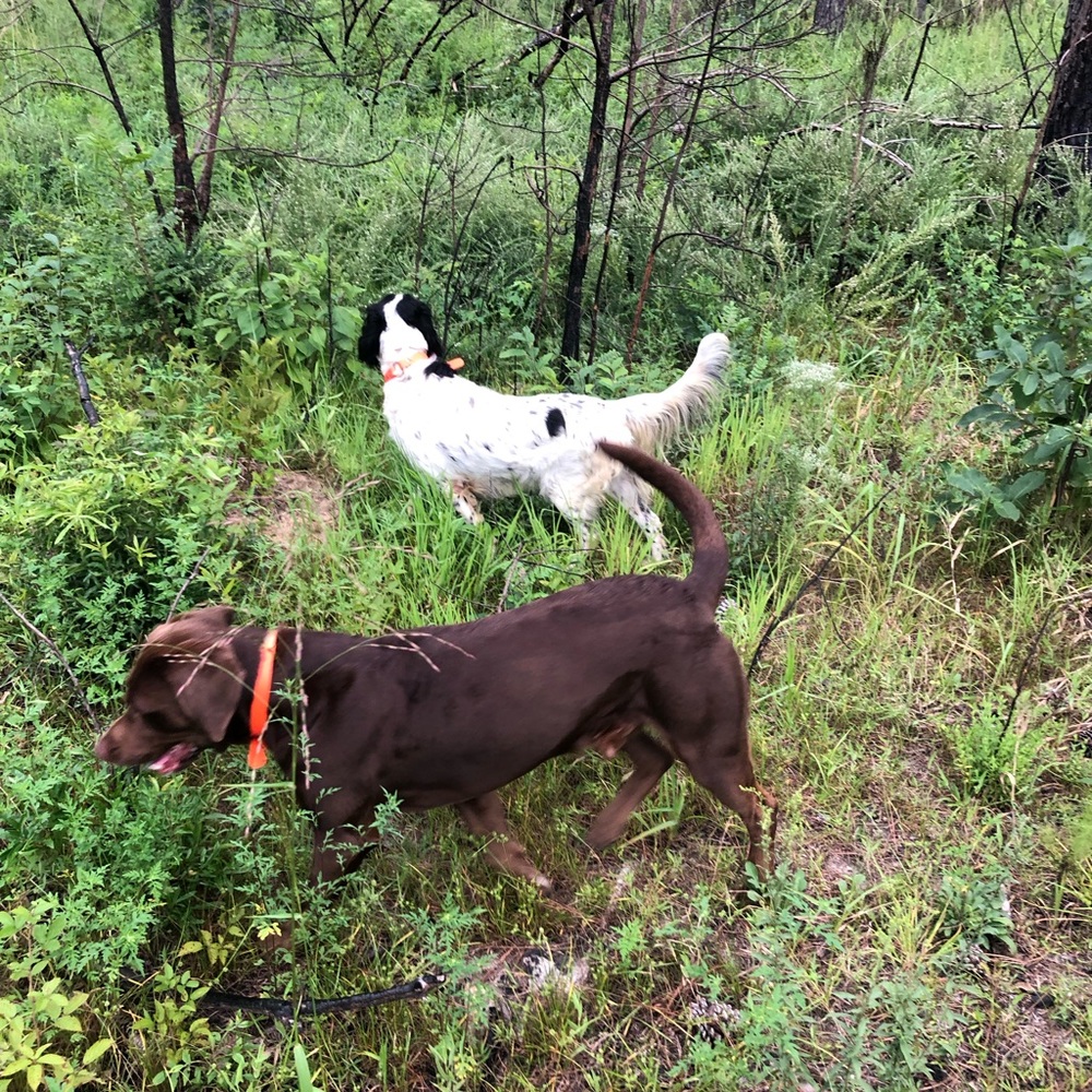 Meet your Posher, Mac